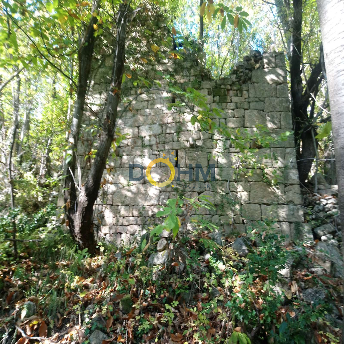 Terrain Avec Ruine Cadastrée à Vendre Occitanie