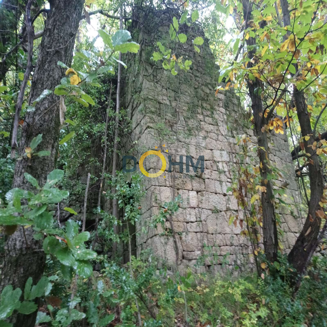 Terrain Avec Ruine Cadastrée à Vendre Occitanie