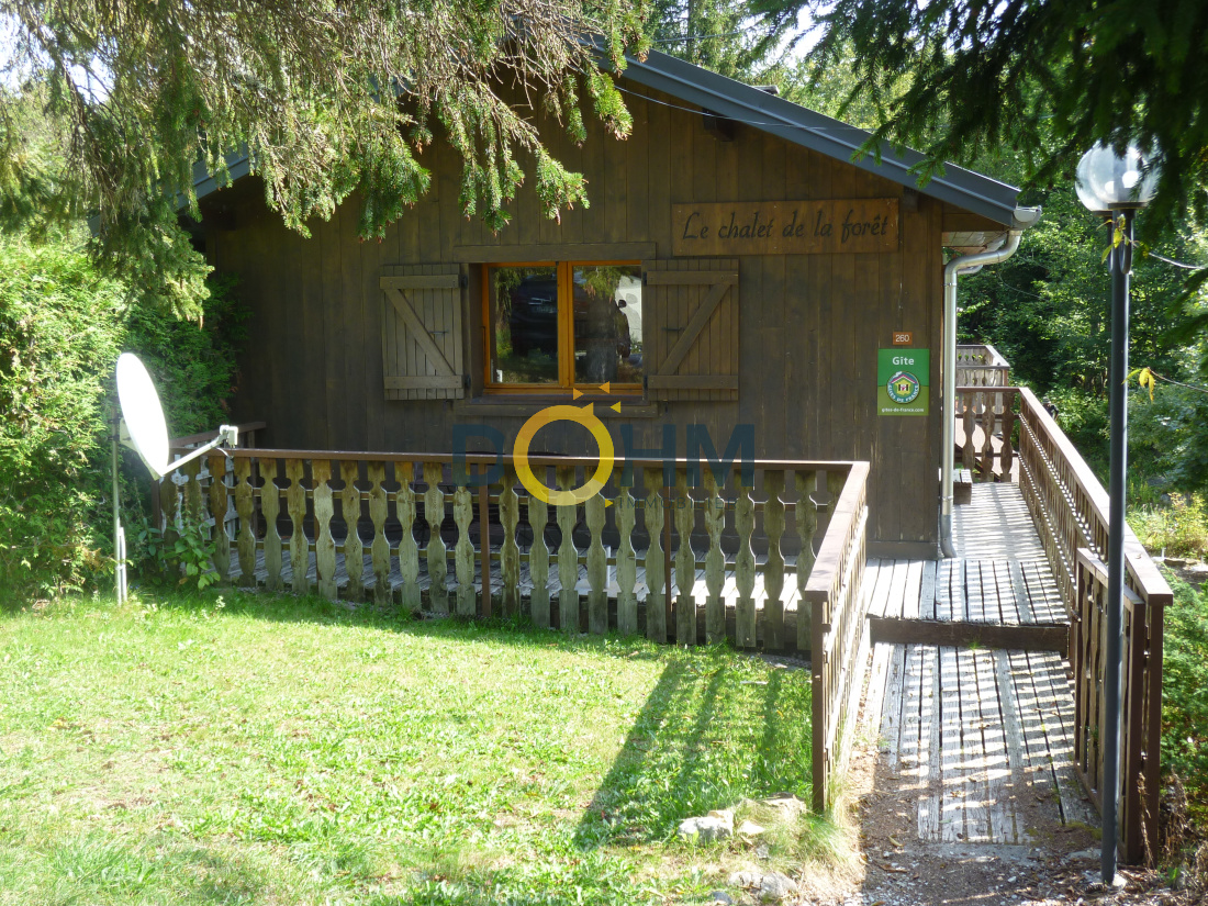 Vente CHALET A VENDRE AU PIEDS DES PISTES Dohm Immobilier