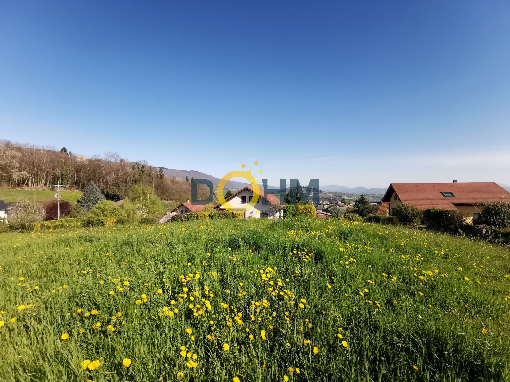 Agence immobilière de DOHM