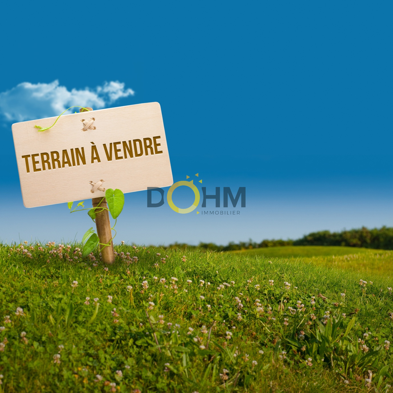 Photo bien immobilier