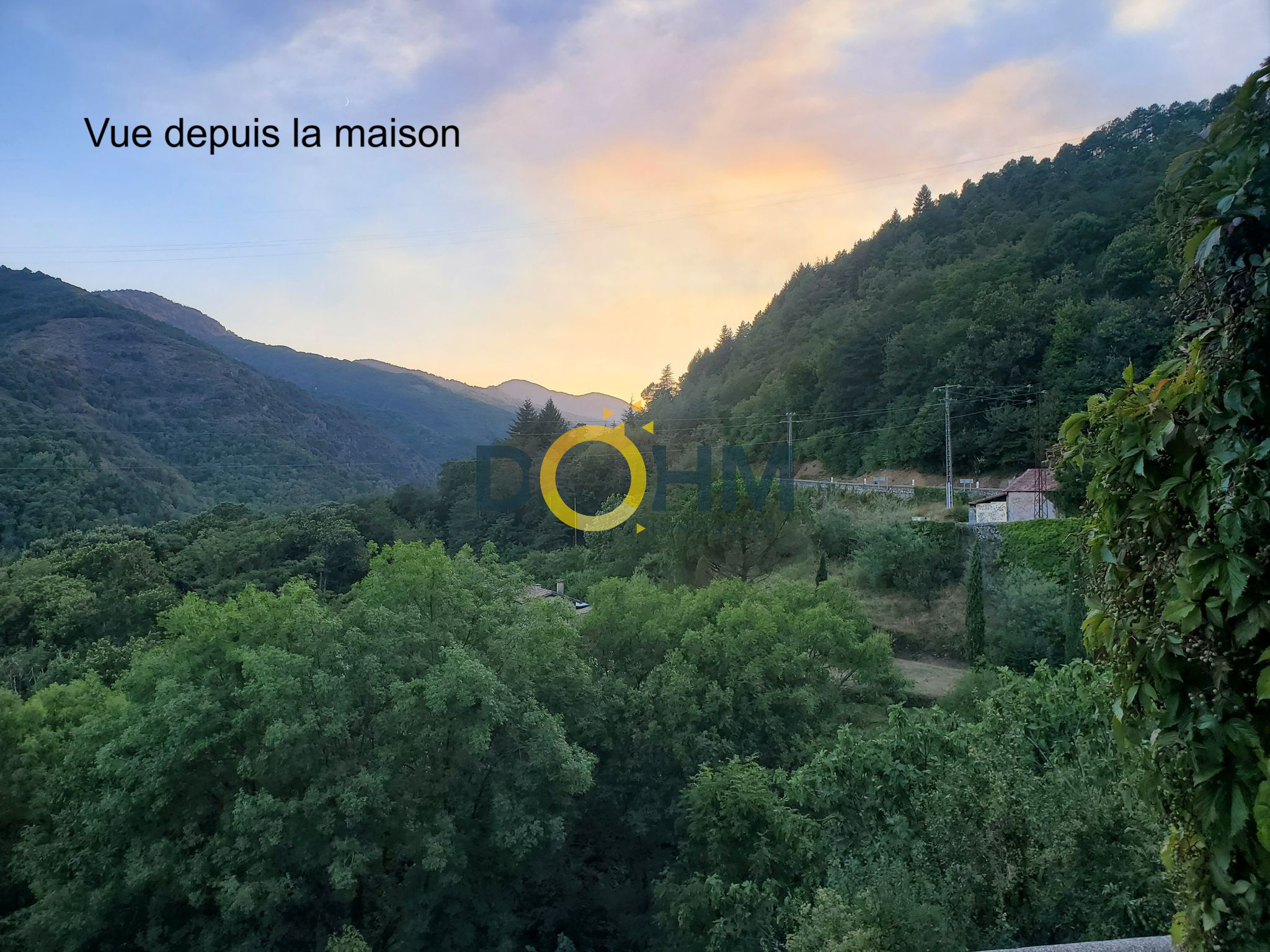Agence immobilière de DOHM