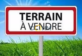 Agence immobilière de DOHM
