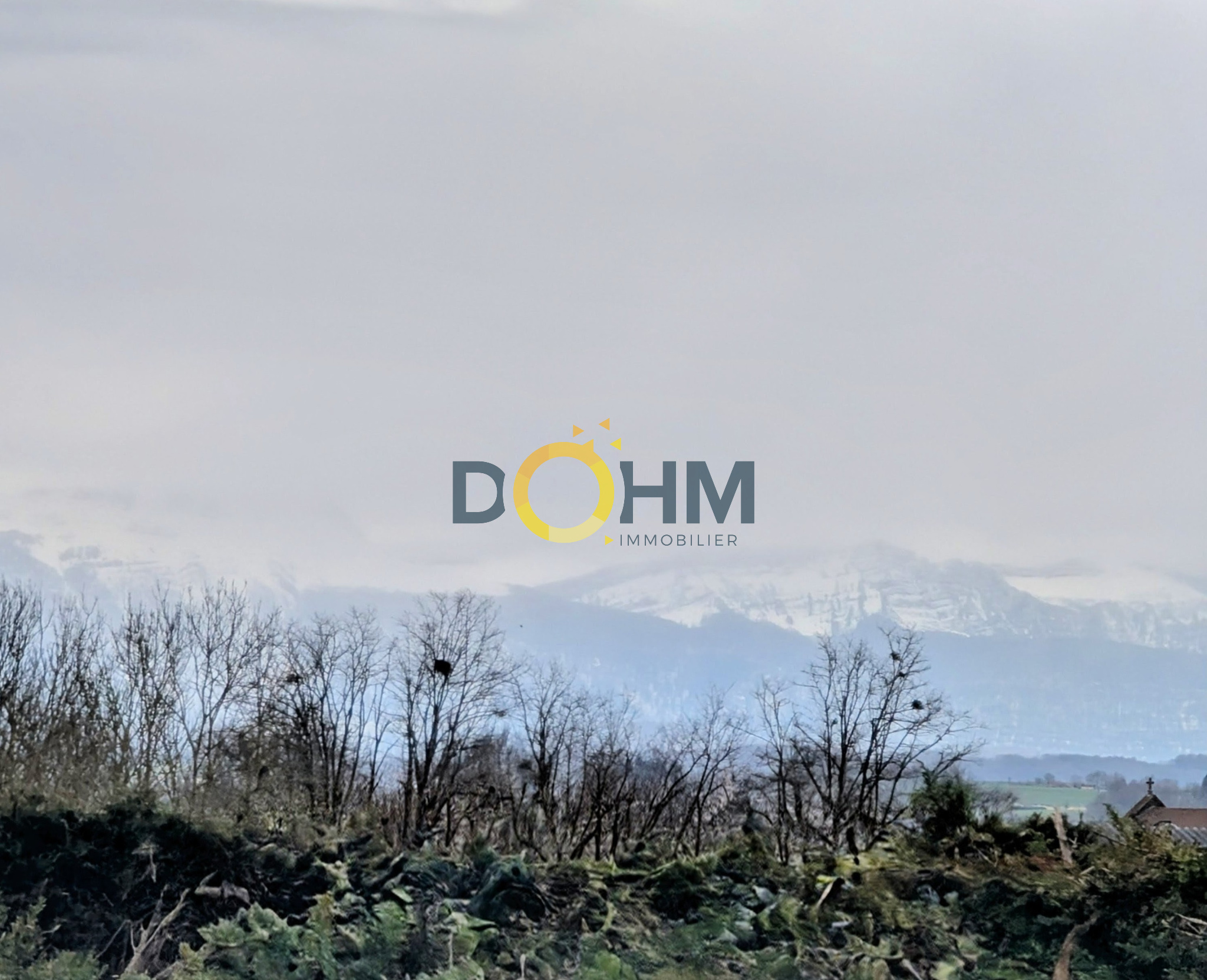 Agence immobilière de DOHM