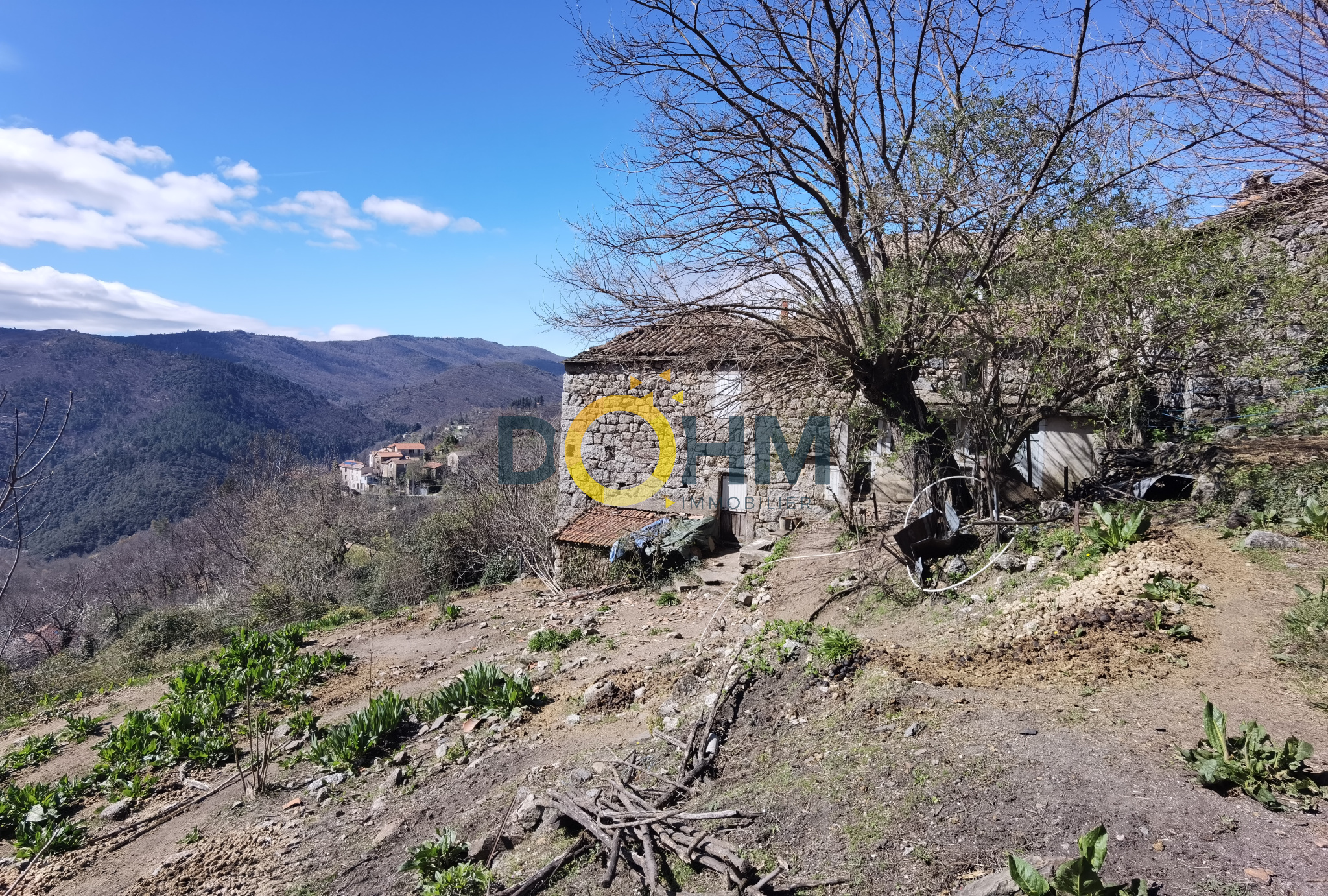 Agence immobilière de DOHM