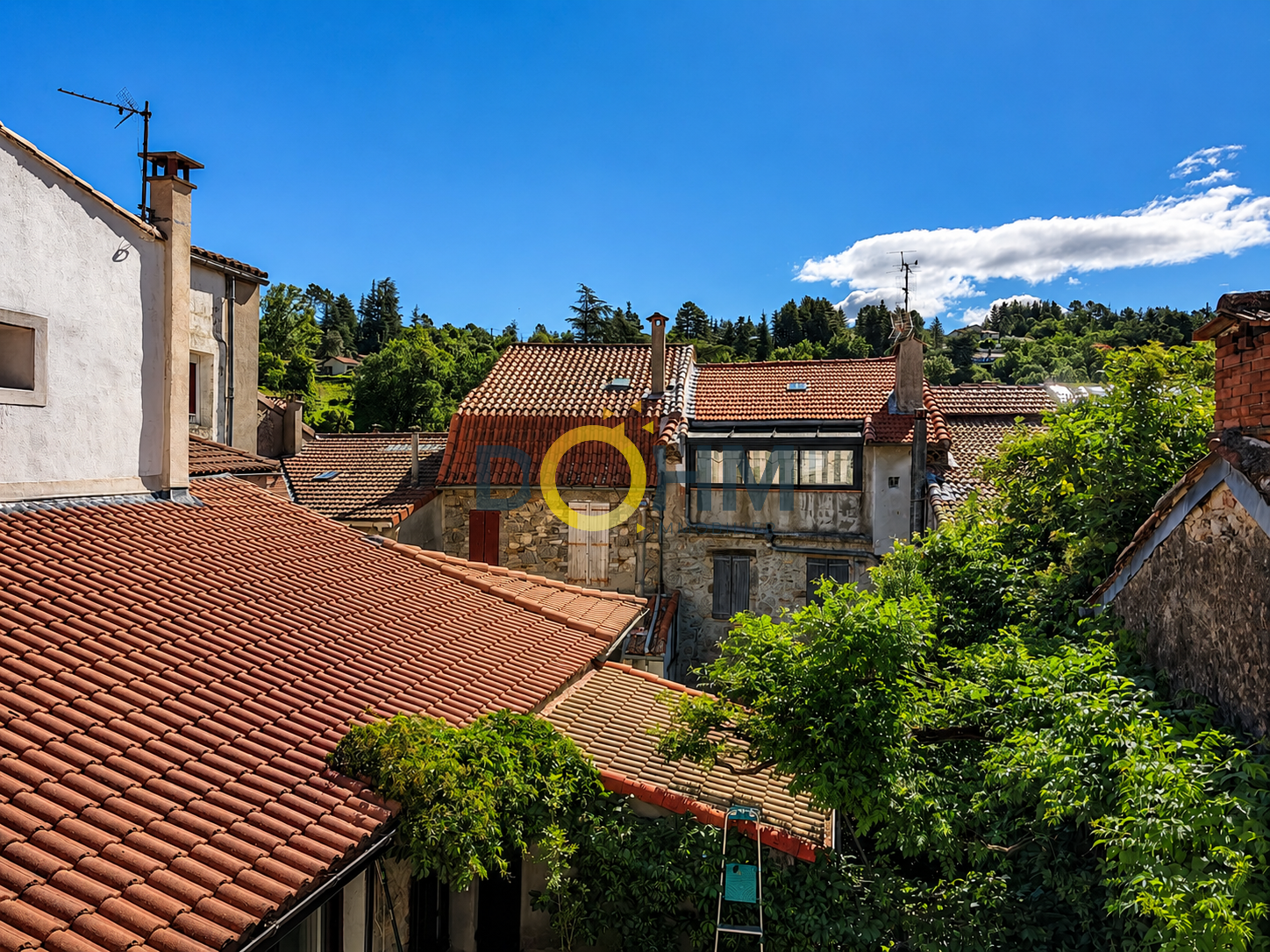 Agence immobilière de DOHM