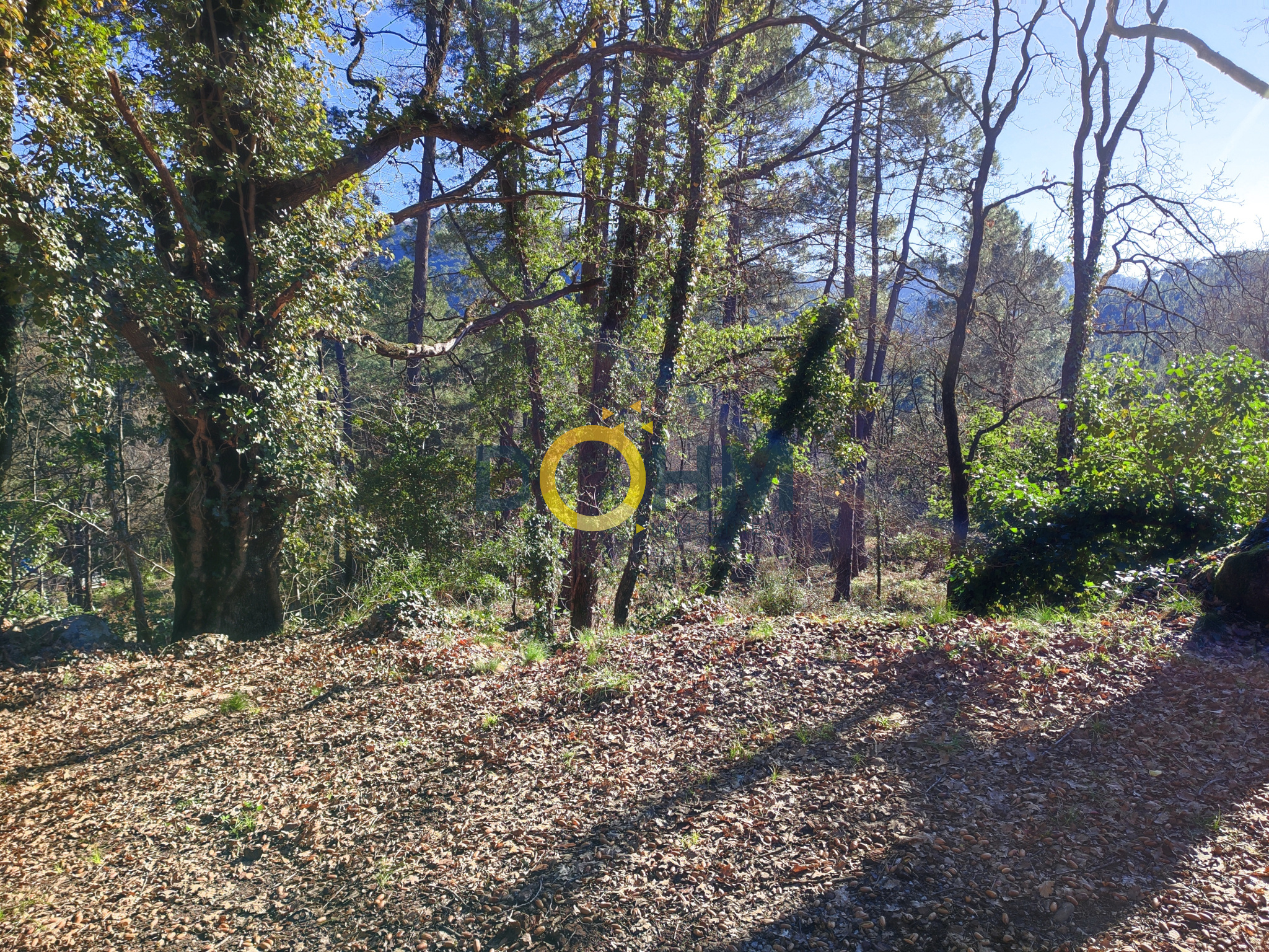 Agence immobilière de DOHM