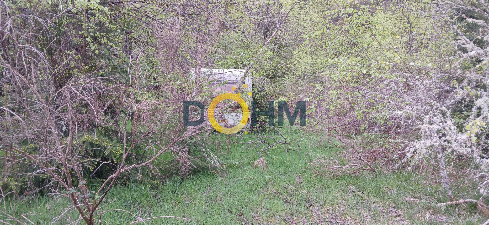 Agence immobilière de DOHM