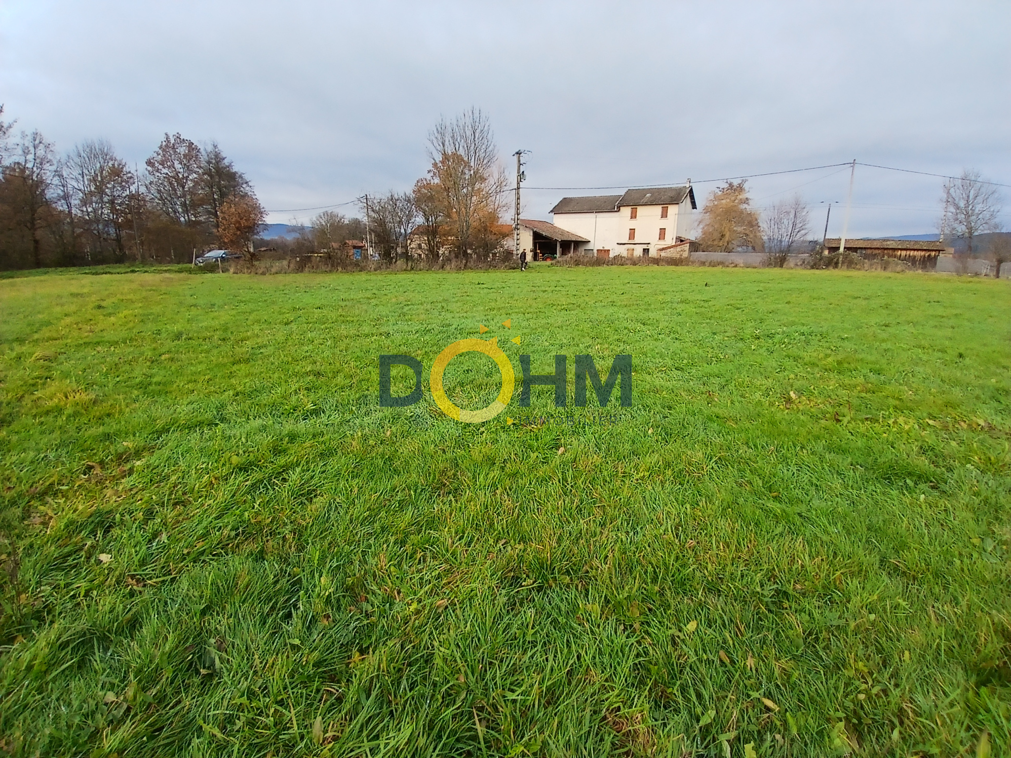 Agence immobilière de DOHM