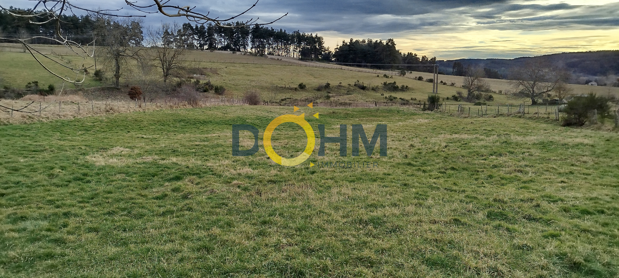 Agence immobilière de DOHM