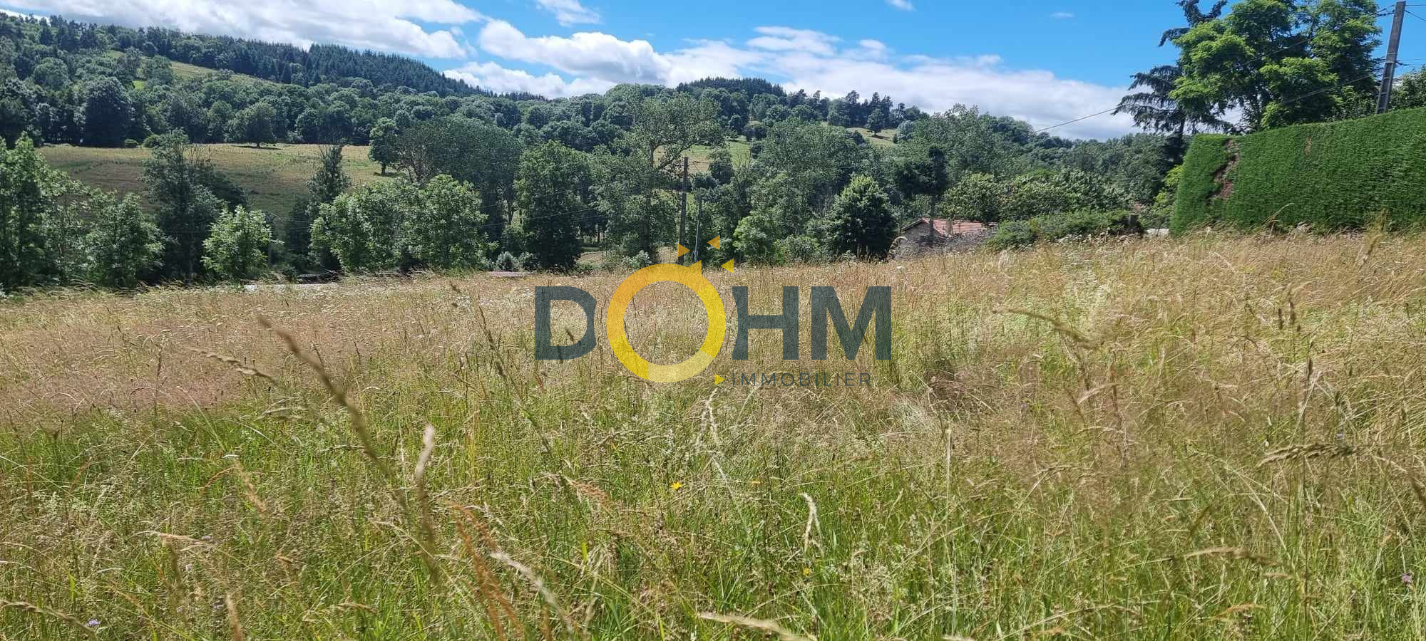 Agence immobilière de DOHM