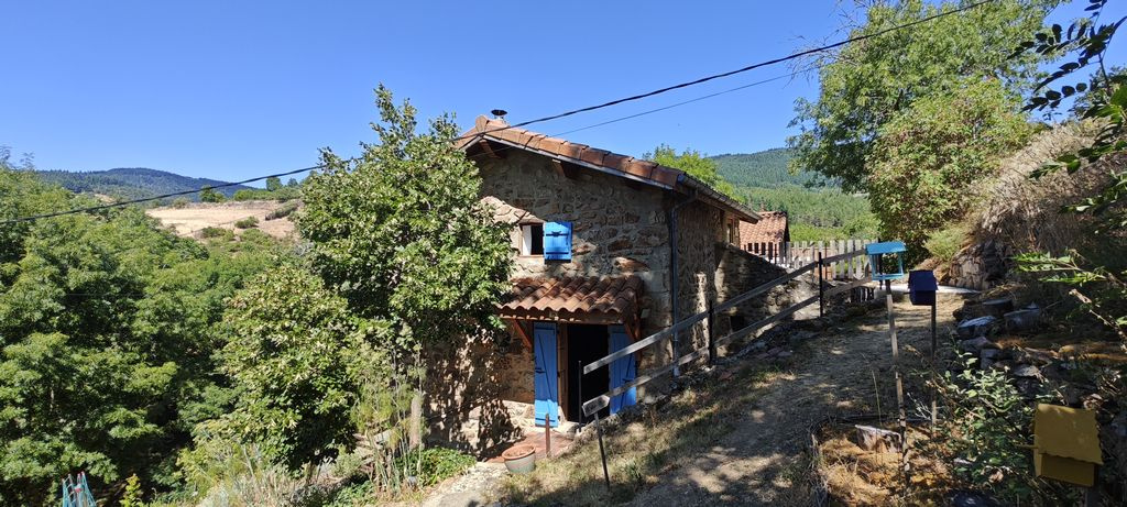 VAUDEVANT (Ardèche) - Propriété de charme avec deux maisons, gîte indépendant, bâtiment  professionnel, et ter