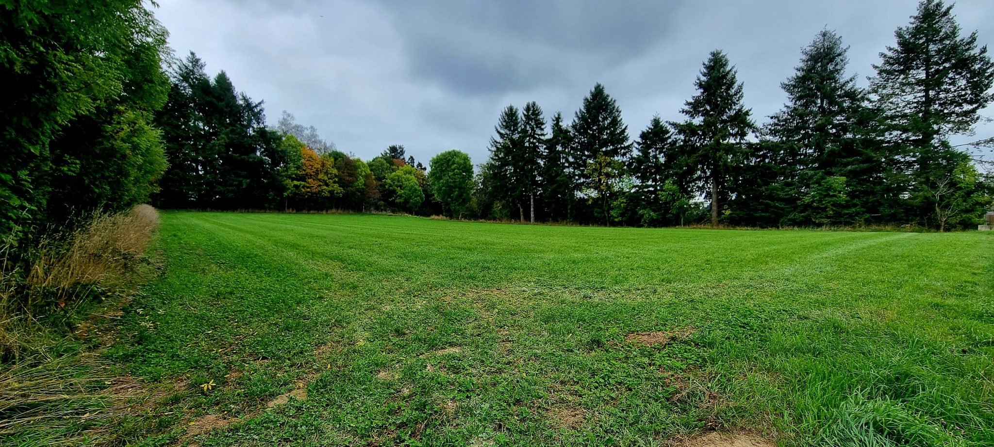 Sur la commune d’Apinac, découvrez ce terrain constructible de 6 024 m2, situé en zone artisanale.